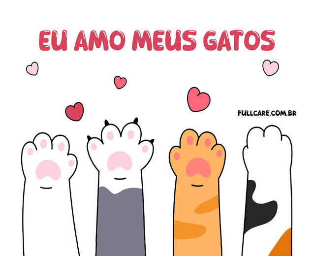 Ima de galadeira 5 unidades Gatos